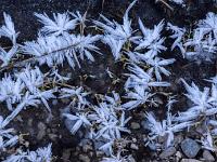 Lange Eislanzen auf vereistem Boden